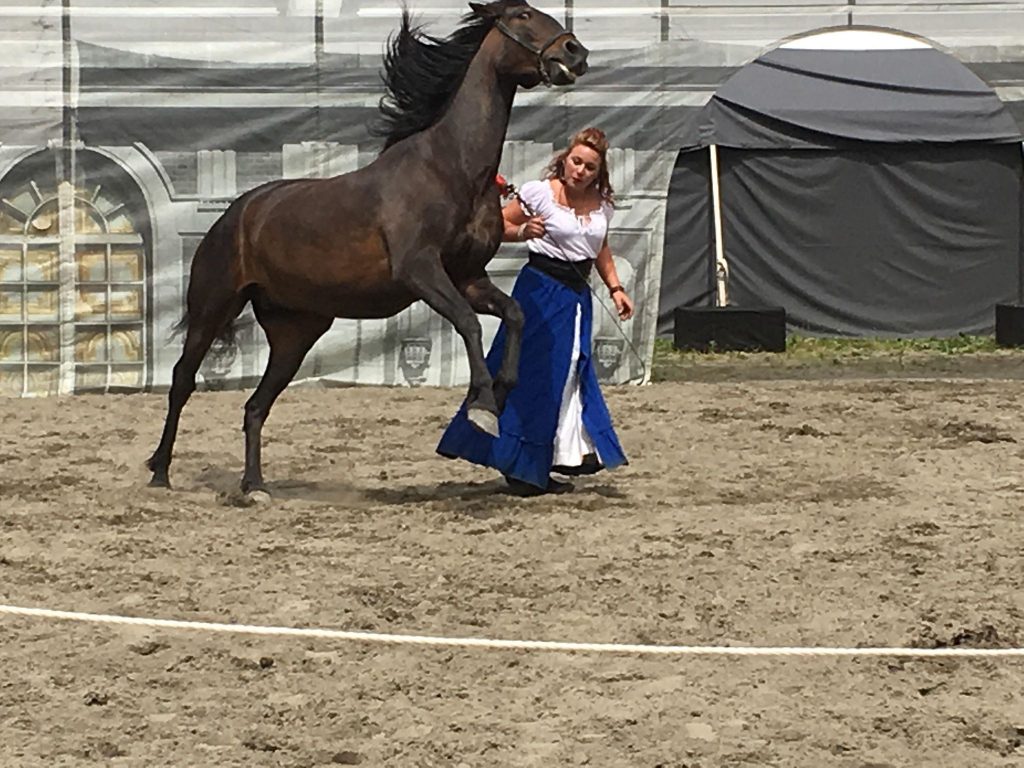 La Belle et son cheval