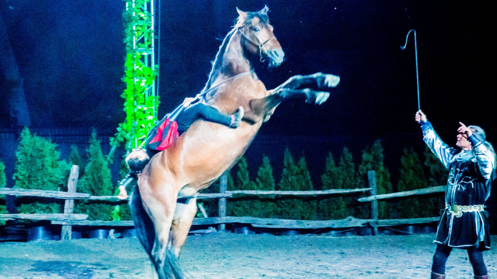 Frank Innocenti Apzara spectacle équestre Merlin 2019